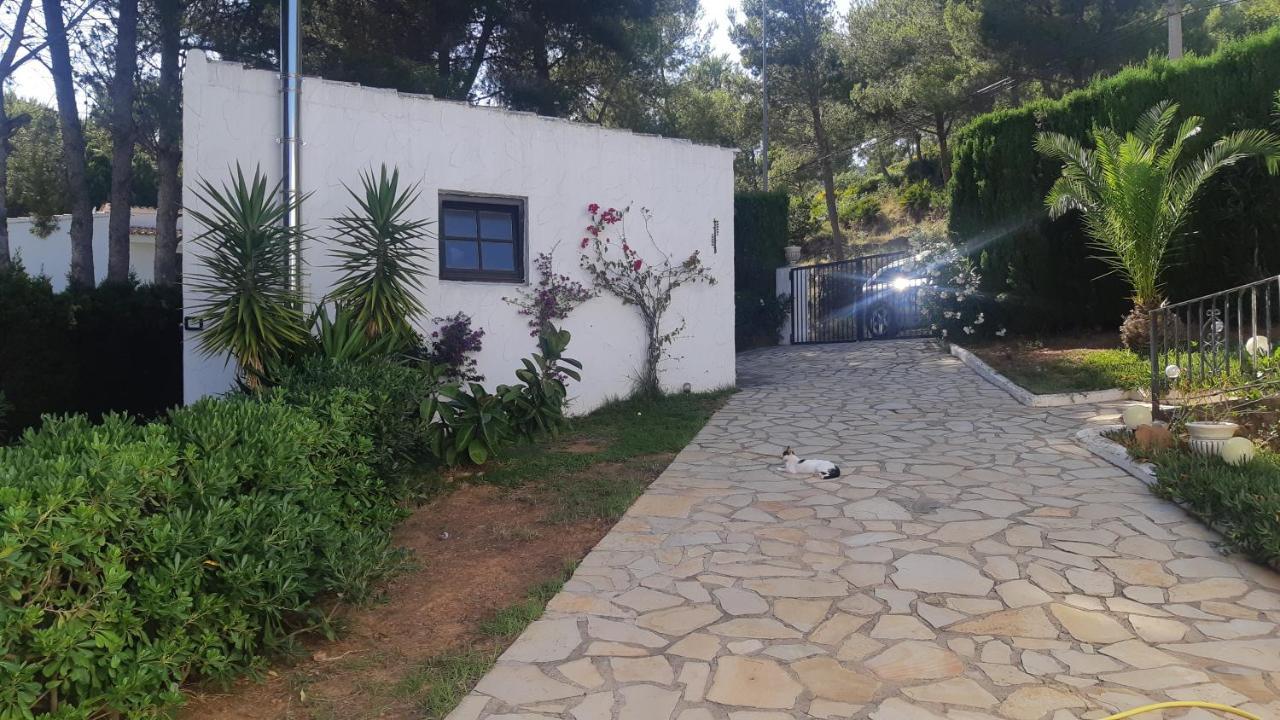 Ferienwohnung Mit Privat-Pool Alcoceber Exterior photo