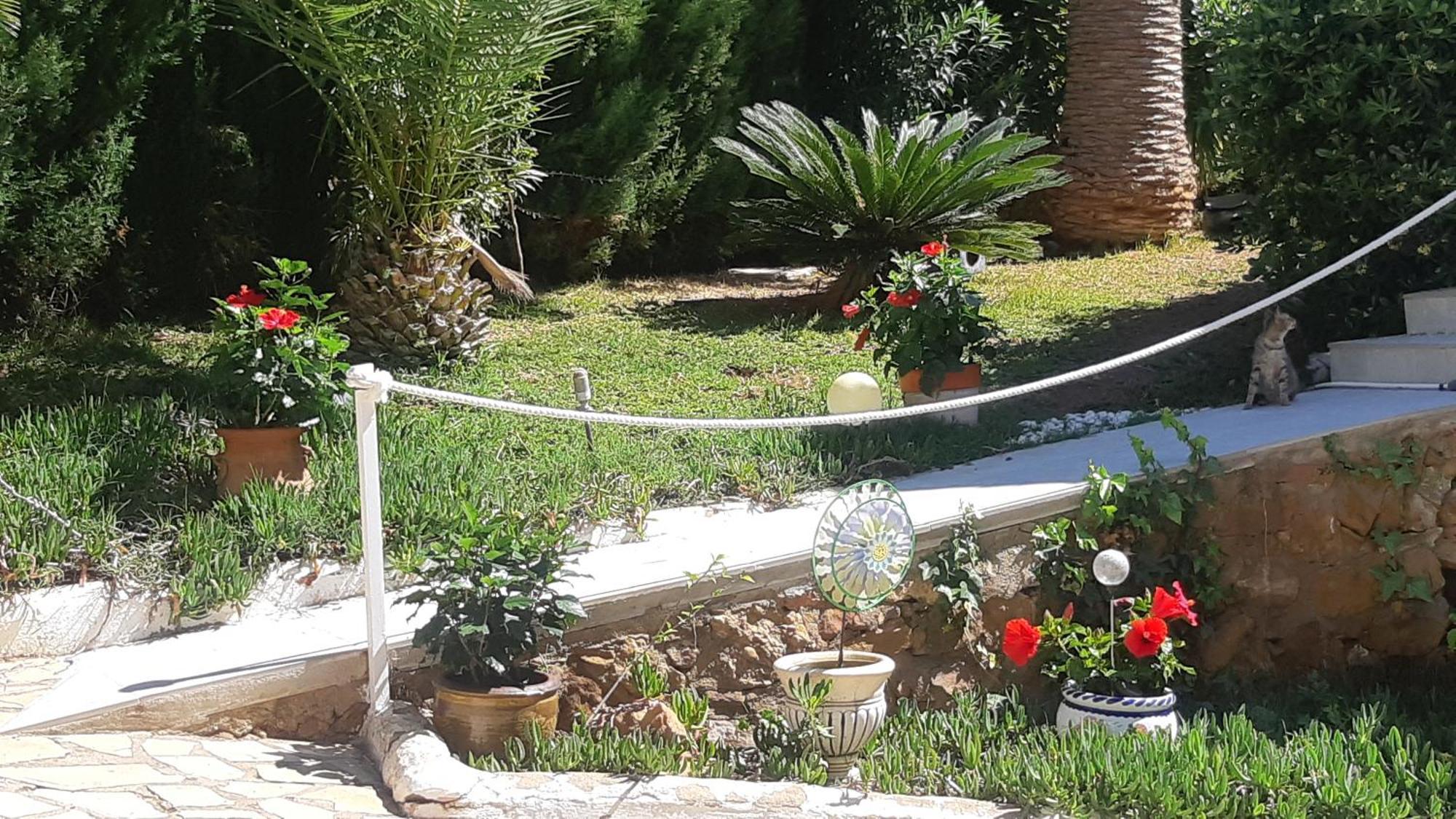 Ferienwohnung Mit Privat-Pool Alcoceber Exterior photo