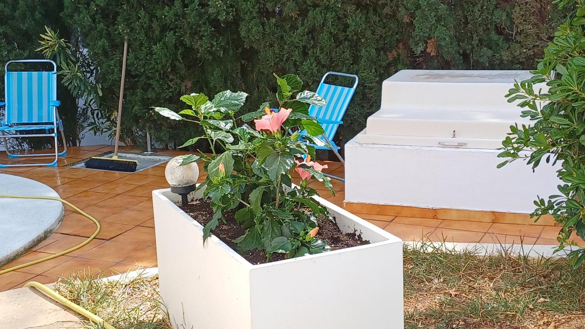 Ferienwohnung Mit Privat-Pool Alcoceber Exterior photo